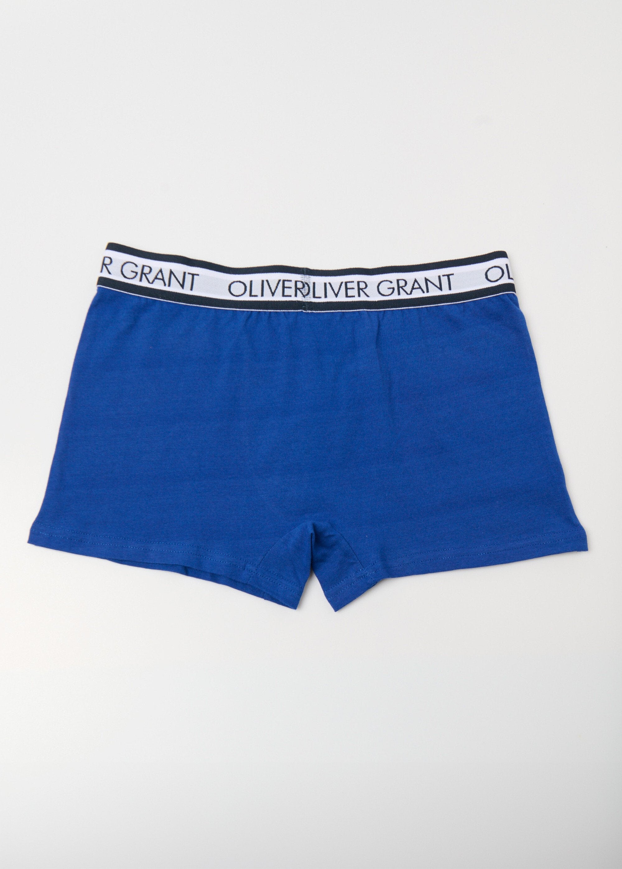 Plain_boxer_shorts_with_logo_waistband_Blue_DO1_slim